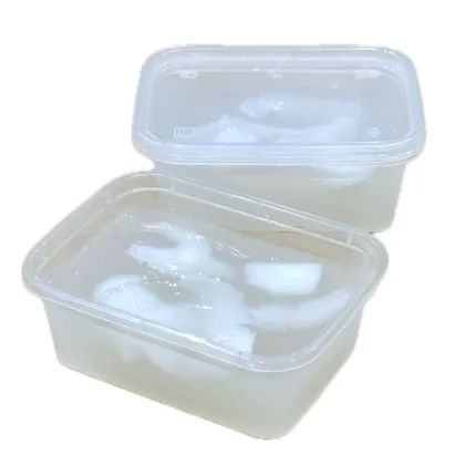 Pudding Kelapa